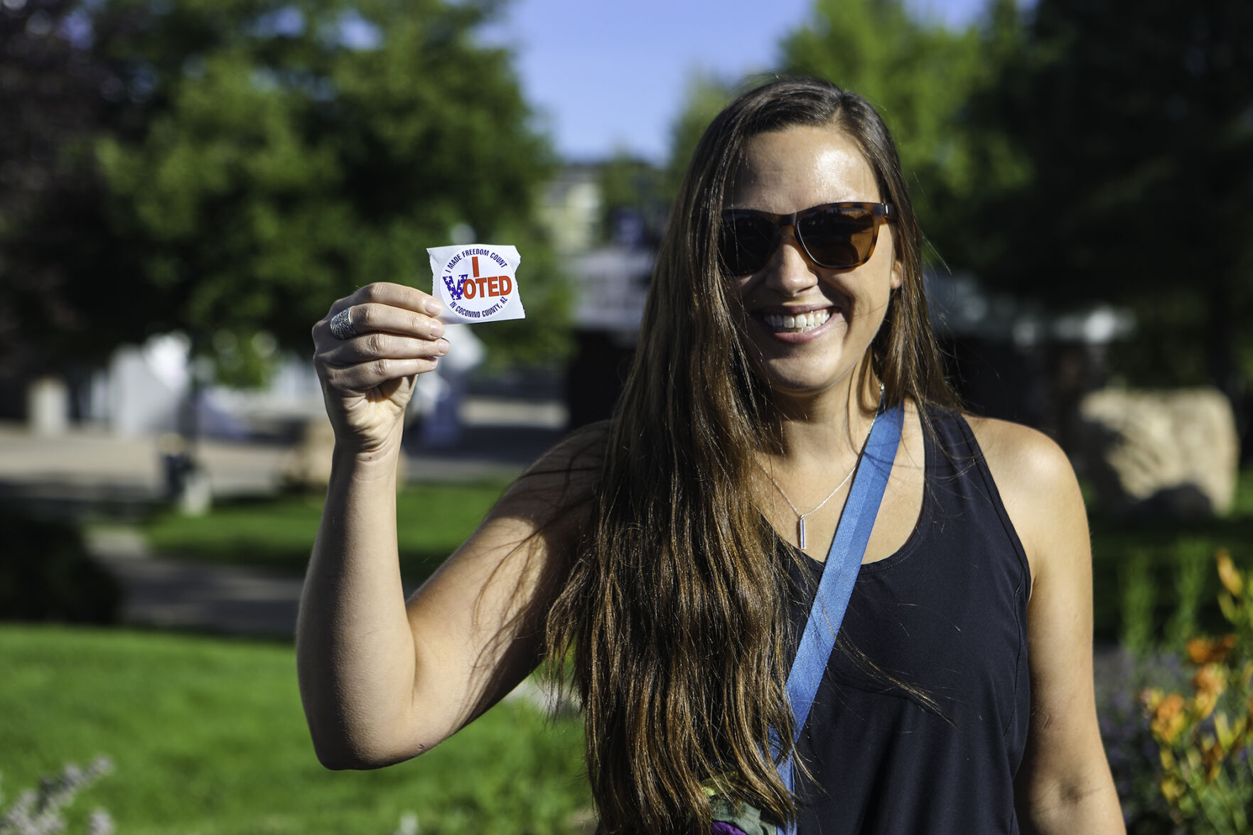 Primary Elections in Flagstaff